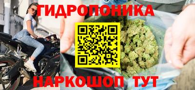гидропоника Тверь